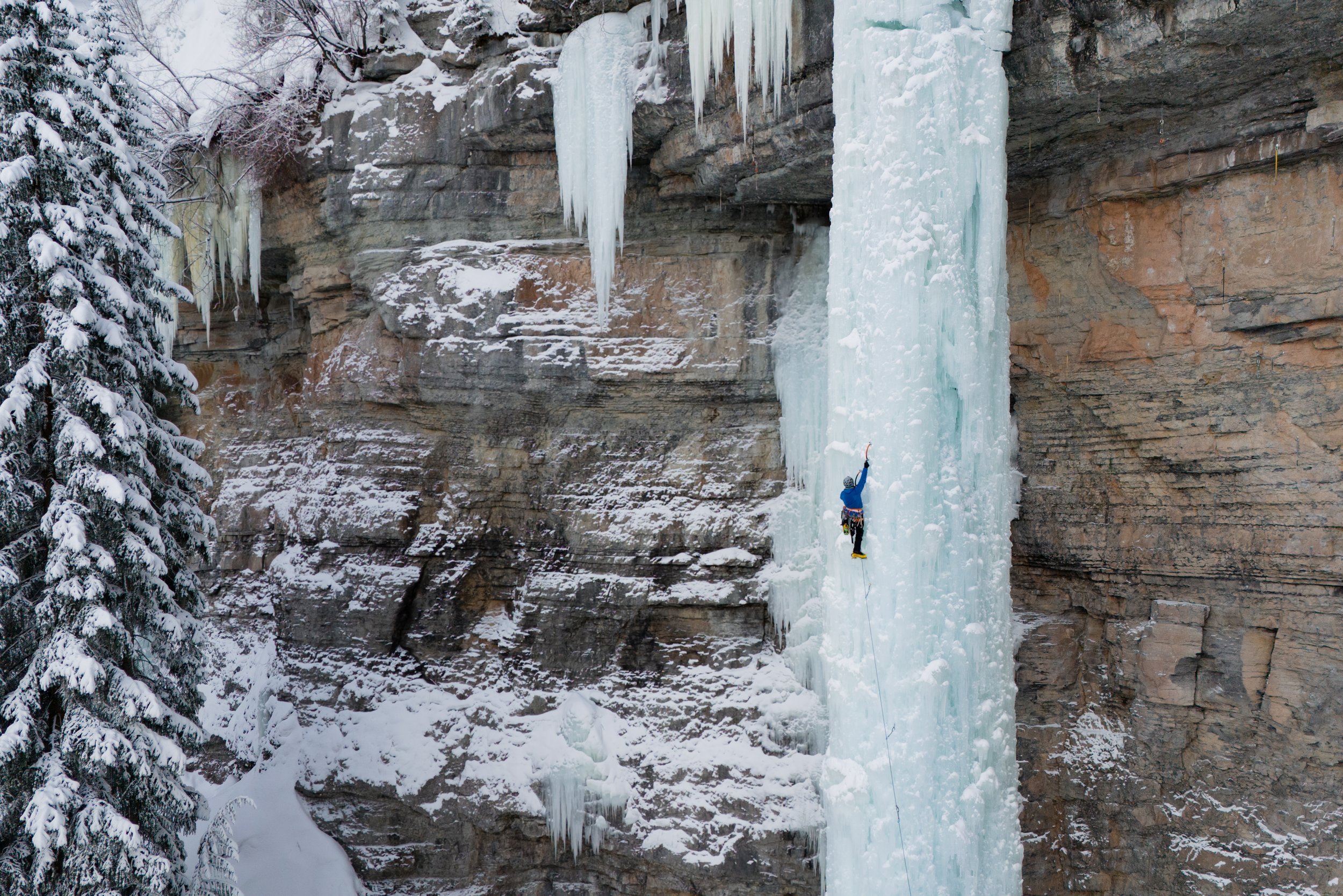 Nature's Breath - Photo 12