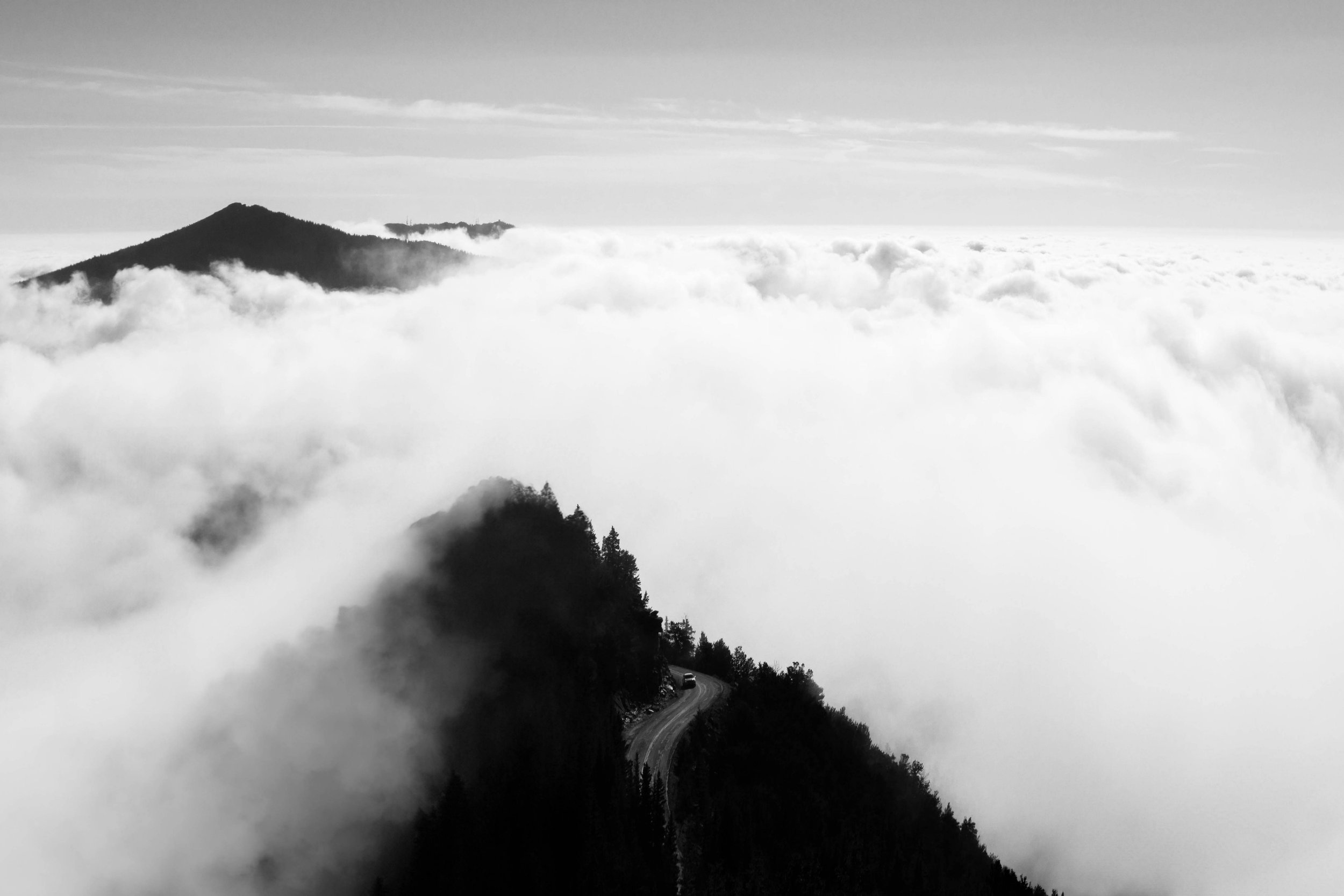 Nature's Breath - Photo 27