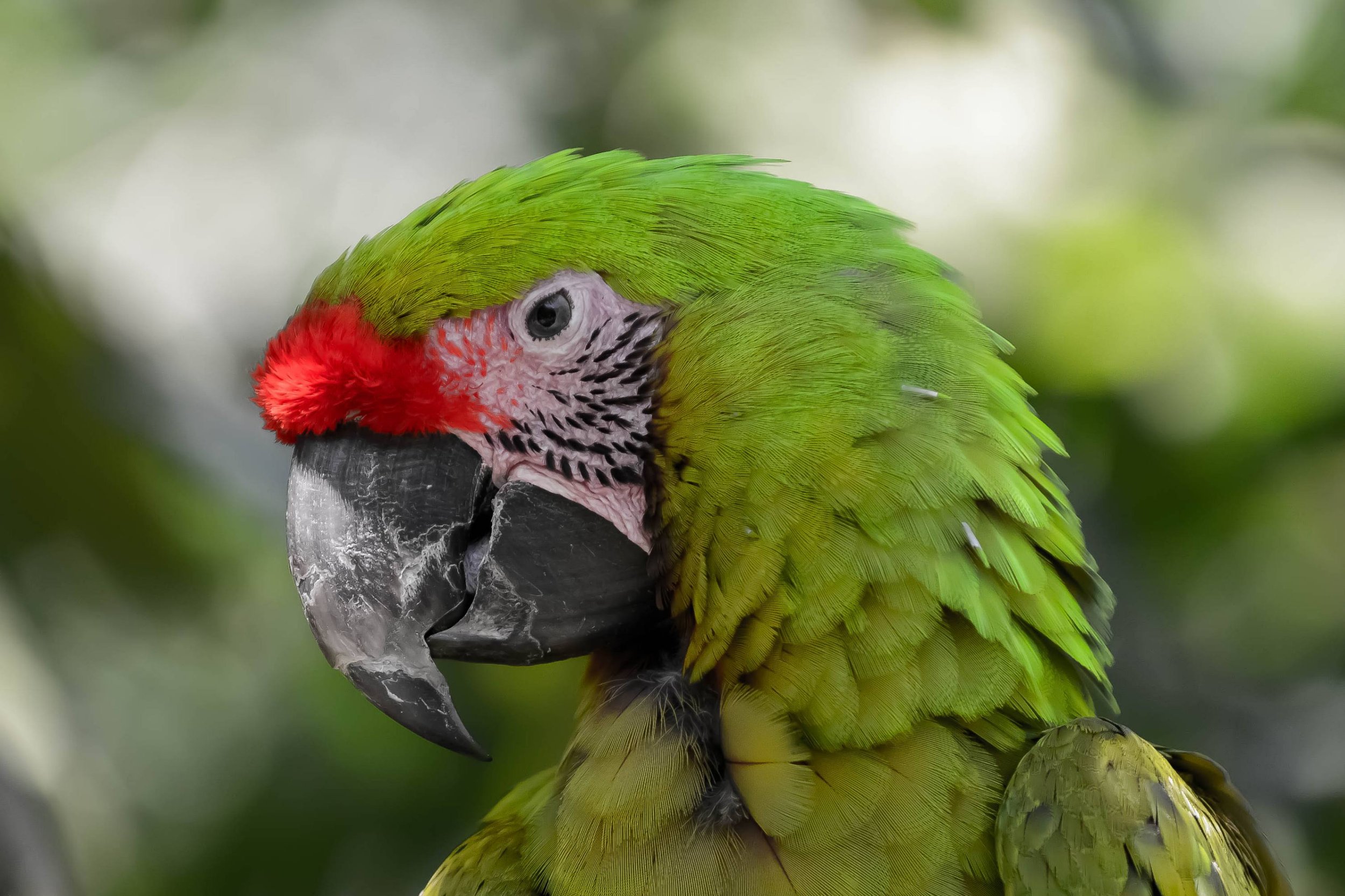 Nature's Breath - Photo 34