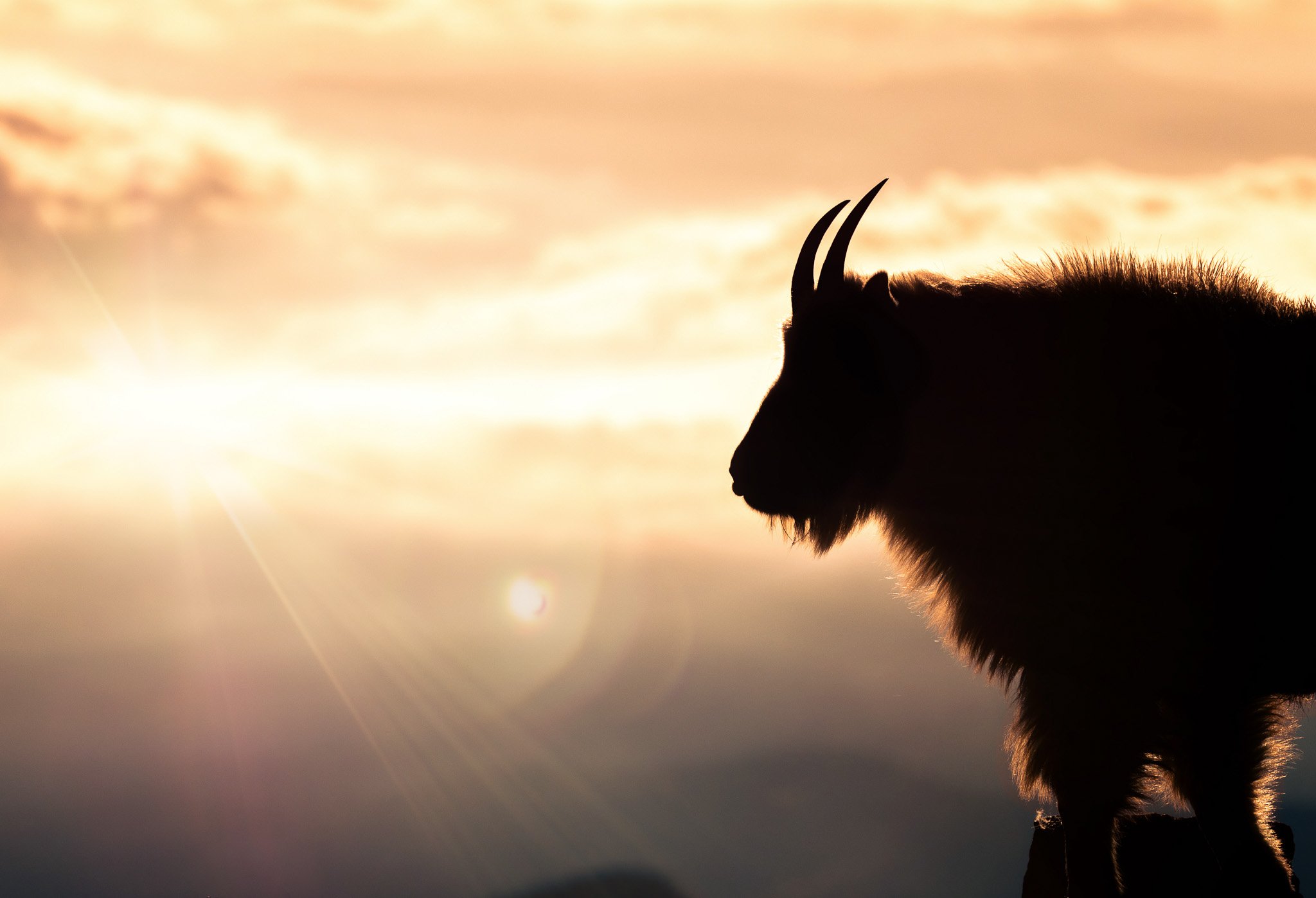 Nature's Breath - Photo 17