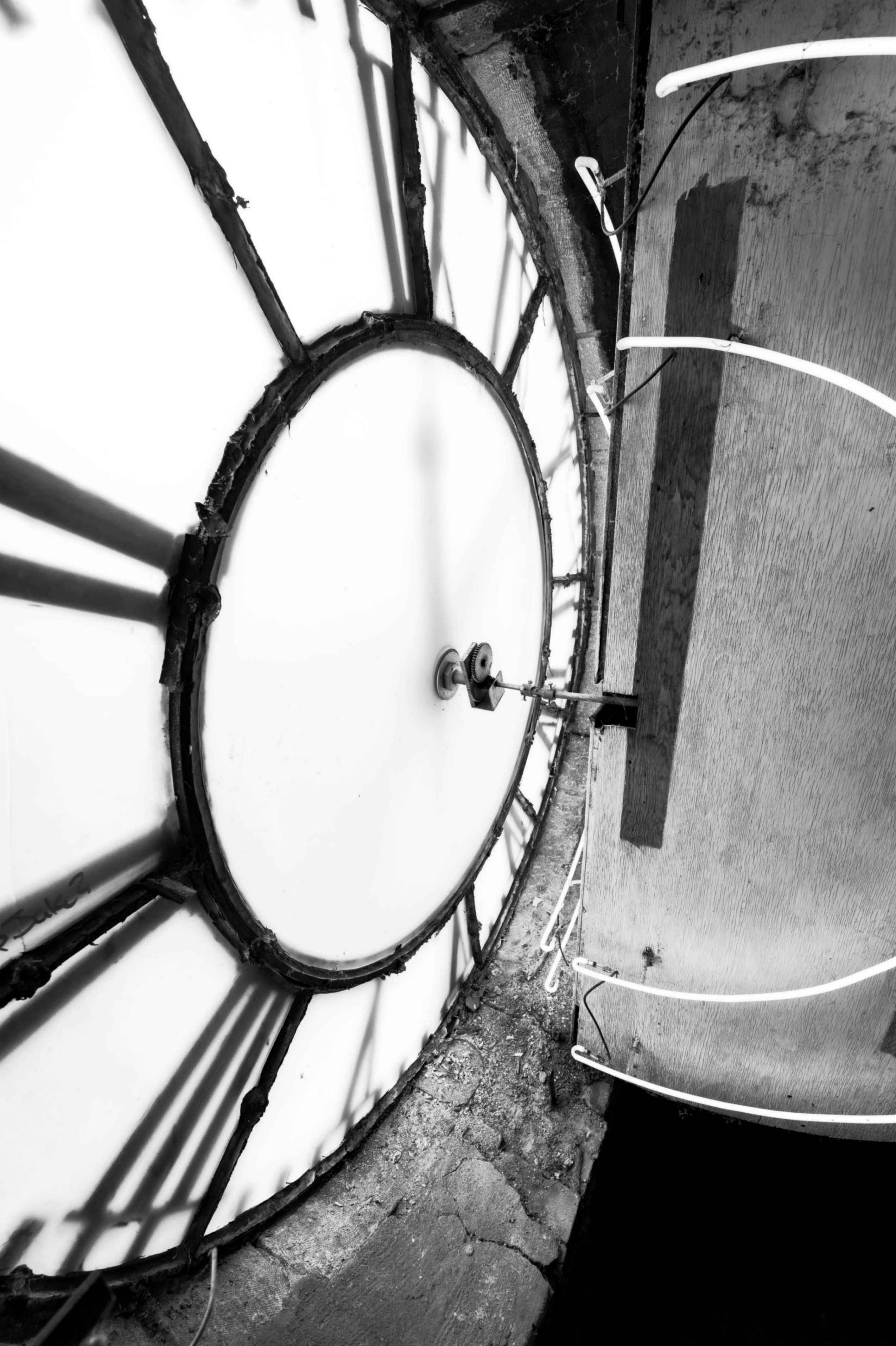 The Real America - Photo 16